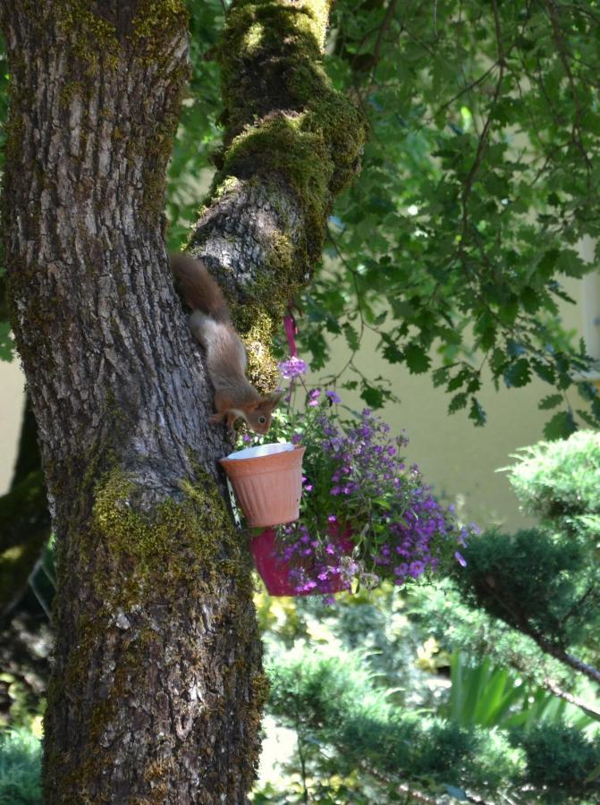 Holiday home Les De Lescurou *